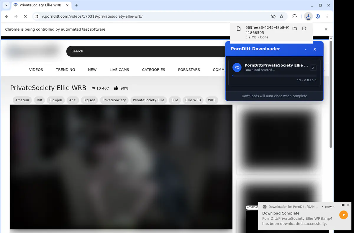 Pornditt Video Downloader screenshot 2