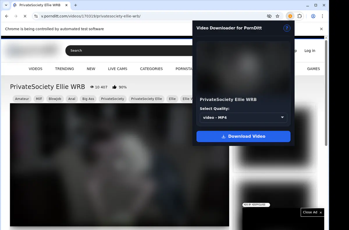 Pornditt Video Downloader screenshot 3