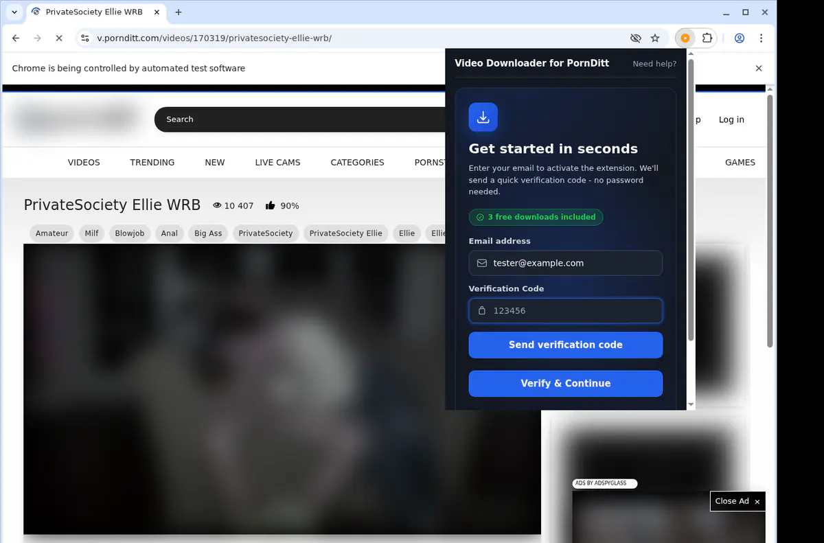 Pornditt Video Downloader screenshot 4