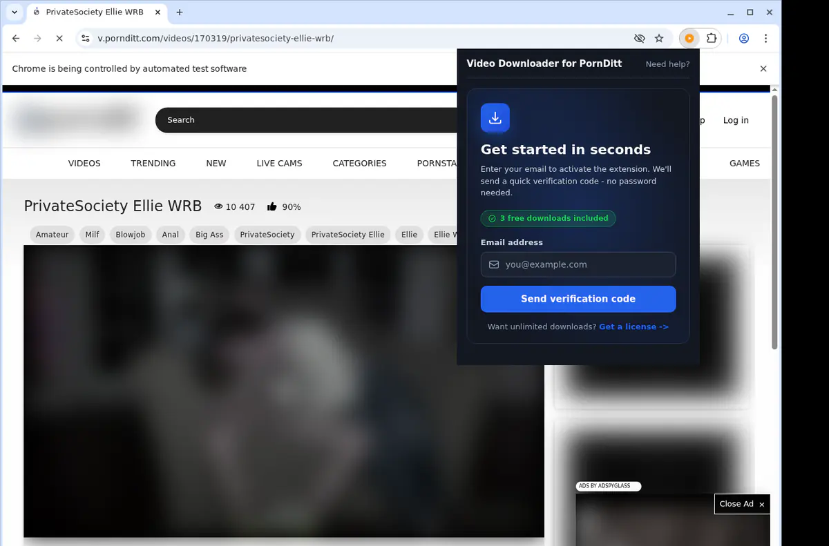 Pornditt Video Downloader screenshot 5